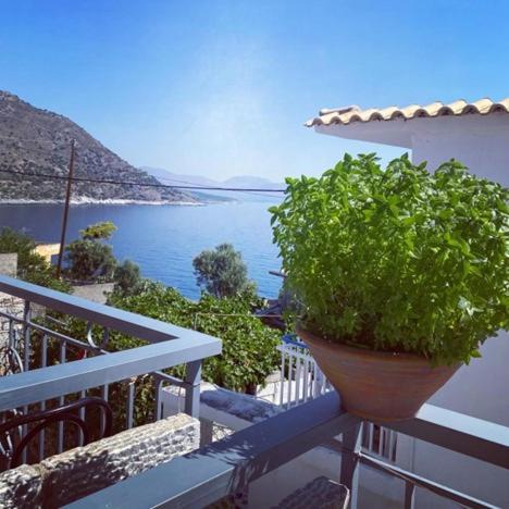 Kokkala Guestrooms Bagian luar foto